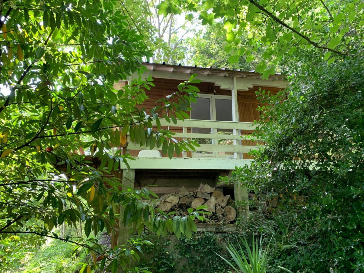 Chalet En Bord De Seine Villa Le Coudray-Montceaux Exterior foto